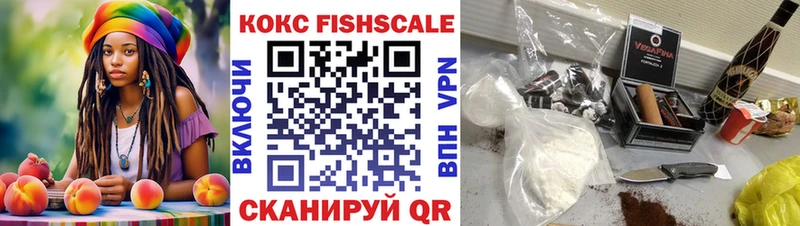 Купить  Мышкин  COCAIN Fish Scale 