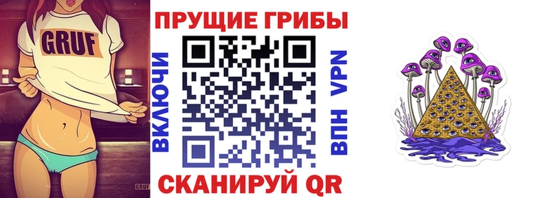 Купить  Мышкин  Галлюциногенные грибы мицелий 