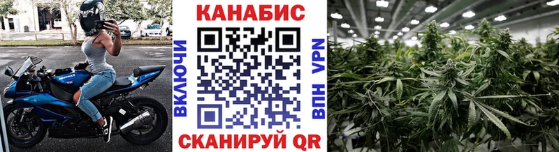 Купить  Мышкин  Канабис сатива 